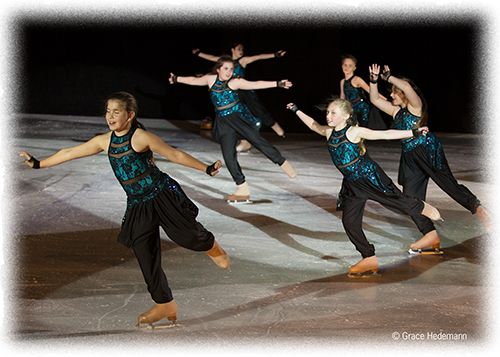 2014_IceShowTabImage