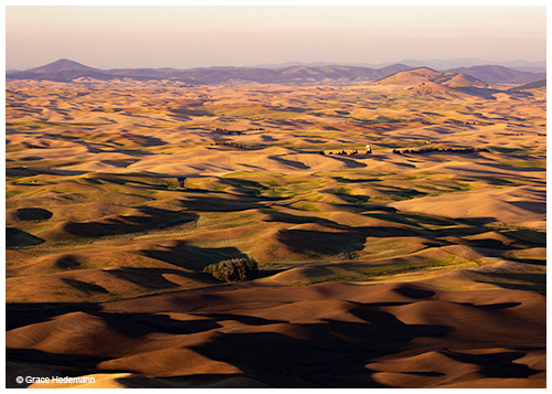 Palouse from Steptoe Butte